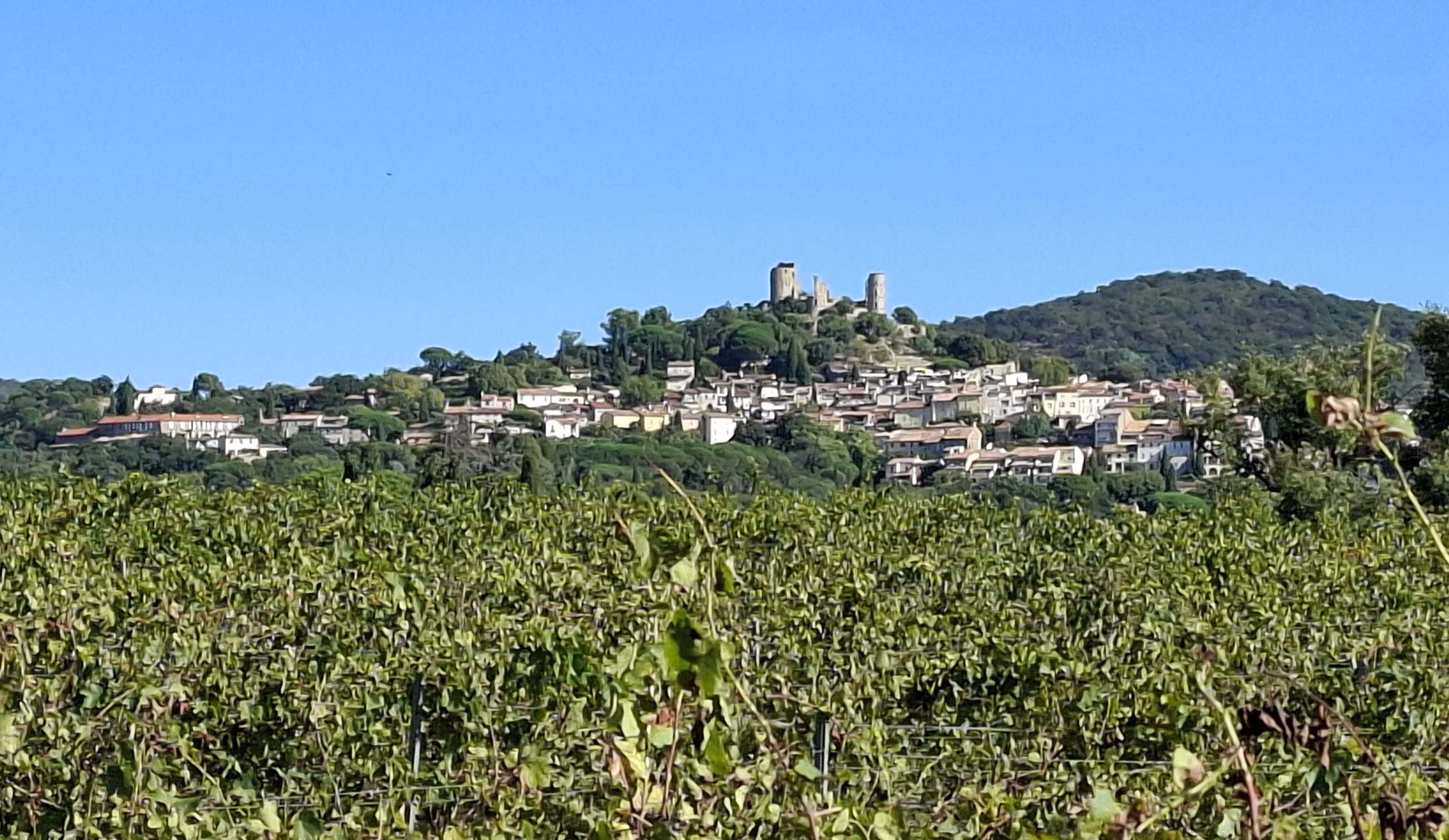 Une autre vue de Grimaud