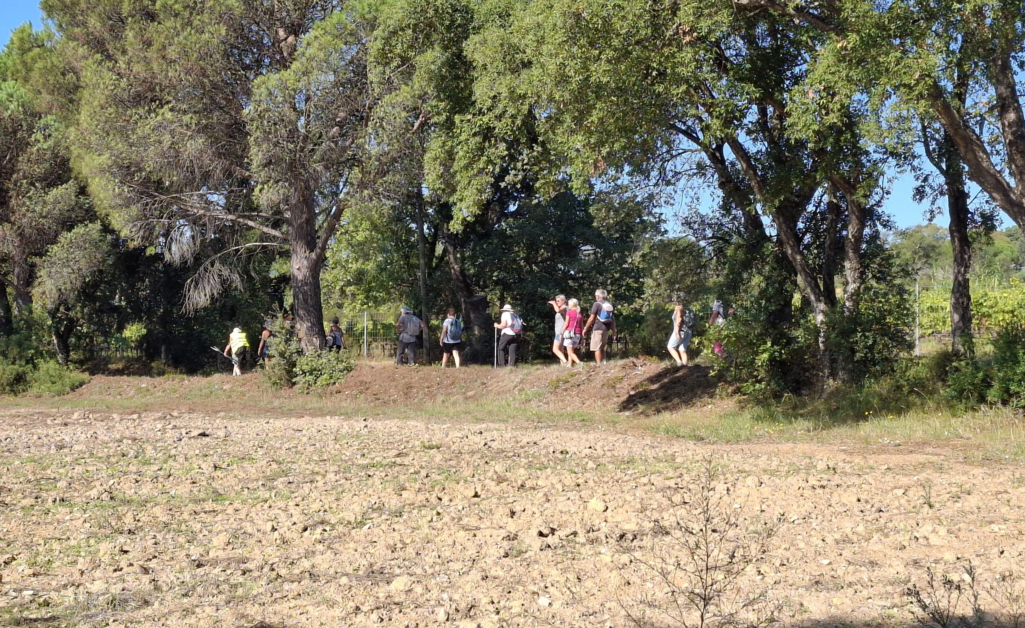 Le groupe en marche