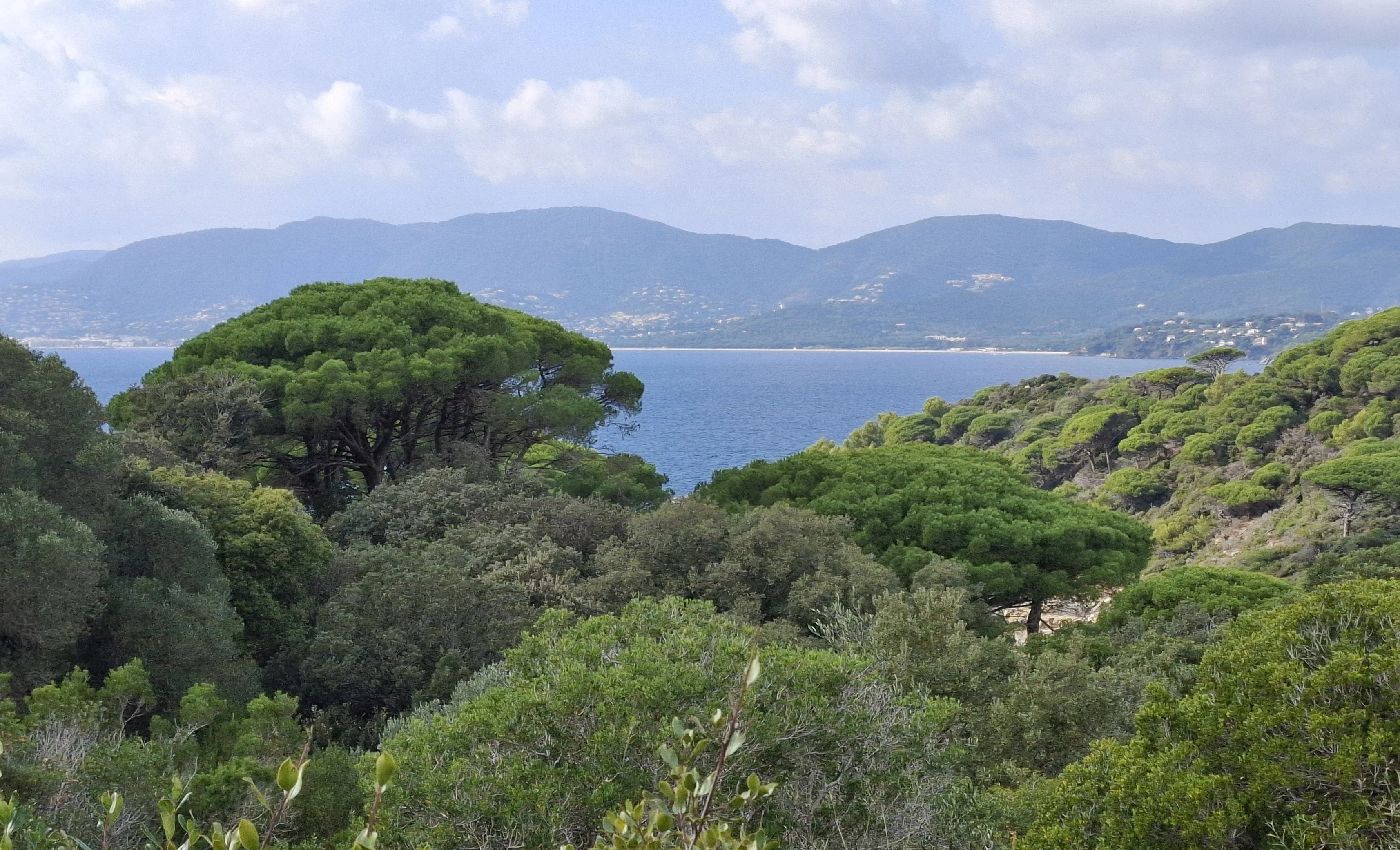 La baie de Cavalaire 